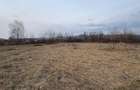 Teren intravilan 10.000 mp plan | Utilita?i in apropiere - Merisor (Maramures) - 2