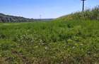 Teren intravilan de vanzare - Patrauti, Suceava - 2