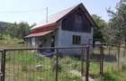 Casă cu Teren 8000 Mp în Dăbâca - 7
