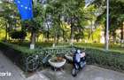Garsoniera de vanzare in zona Gheorgheni Aleea Detunata - 7