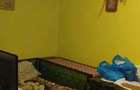 Apartament cu 3 camere nedecomandat în Central