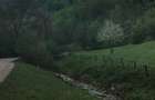Vand Teren intravilan in Comuna Buce? ( Sat . Stanija ),Sup.1727 mp - 6