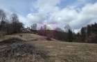 Teren intravilan de vanzare in Valea Doftanei - 14