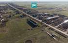 Hală industrială cu teren generos în Zărand, Arad - 46