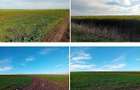 Teren extravilan cota parte Fundulea, ID: R3433316 - 4