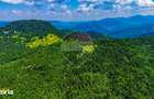 Refugiu in natura la Sacele | Teren 7.000 mp cu rau | Comision 0% - 10
