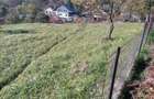 Vand teren superb 1028m2, in com. Valea Lunga jud Dambovi?a - 3