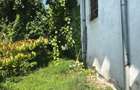 Casa, curte, gradina in Voinesti, Dambovita - 5