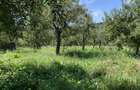 Livada 1100 mp in intravilan, de vanzare Comuna Bote?ti, Jude?ul Arge? - 4
