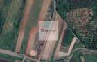 Teren de 11.000 mp cu casa ?i teren agricol | La 40 km de Bucure?ti | - 6