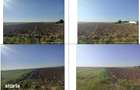 Teren cota parte 1/2, loc Padina, ID: R3457891