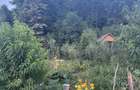 . Casa renovata complet, gradina, padure si aer curat Arges - 1