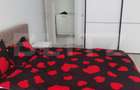Apartament cu doua camere de inchiriat, in bloc nou - 7