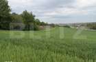 Teren intravilan, in localitatea Bobota in suprafata de 12.500 mp - 1