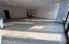 Orizont - spatiu comercial stradal 87mp - 9
