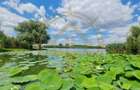 Dom00444 - vila luxurianta la lac cu ponton si casa de barca snagov - 14