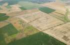 Teren arabil de 40 hectare in Zarand - 1