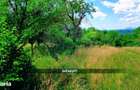 Teren intravilan 6115mp | Danesti, Maramures | Oportunitate investitie - 5