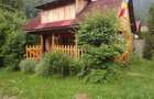 Vand teren si cabana la munte zona Hateg - 5
