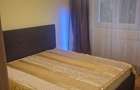 Apartament 2 camere zona lini?tita lana parc - 8