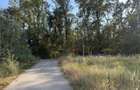 Vand Teren Str. Drumul Padurea Pustnicu, langa Greenfield - 2
