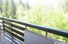 Predeal-Apartament cu patru camere ,mobilat si utilat -Cioplea - 7