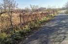 Teren de 6000 mp, în Fălticeni - 9