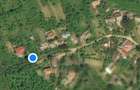 Casă cu 3 camere cu Teren 3000 Mp în Gorganu - 10