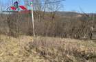 Casa si anexe cu un teren de 7701 mp de vanzare in Stauini Jud Alba
