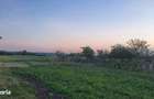 TEREN 3000 MP LANGA DUNARE + PADURE | DESCHIDERE DN31 - 2