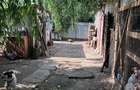 Ai obosit de agitația orașului? Poate că „acasă” te așteaptă la Pogoanele. 🏡 - 9