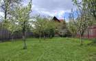 Casa si curte pentru o familie - 3