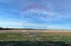 Teren extravilan de vanzare 17500 mp, deschidere 27m la DN1, Ploiesti