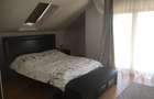 Casa de vanzare cu domeniu generos de 5.000 mp (50 ari) Geoagiu, Hunedoara - 10