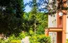 Oportunitate Investitie: Apart. 2 Camere in Busteni | Ideal Resedinta - 10