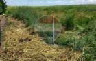 Teren 14,000mp Ghercesti ,Deschidere 40 ml - 3
