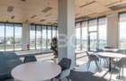 Birouri premium in SibiuSpatii flexibile moderne pentru companii - 2