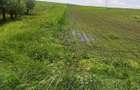 De vanzare teren intravilan 1,31 ha , Vornicenii Mici-Suceava - 4