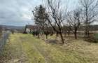 Teren intravilan construibil Sopor/Borhanci - 3