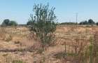 RIG Imobiliare va ofera spre achizi?ie o proprietate cu poten?ial!