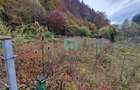 Teren intravilan, 500 mp, Sacele, Brasov