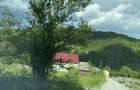 Teren strada Arsita Viseu de Sus - 3