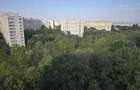Apartament 2 camere Dristor Proprietar Metrou ParkLake Parc IOR - Camil Ressu - 3