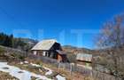 Teren 2 ha, cu padure proprie si panorama spre munti, Arieseni - 9