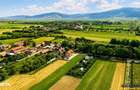 6 parcele cu autorizatie de construire si proiect aprobat: Stupinii Pr - 1