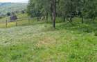 Casă cu Teren 3850 Mp în Roșia - 1