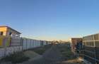 Teren intravilan, com. Dascalu, jud. Ilfov 35.000 euro/parcela,zona noua, superba, aproape de padure