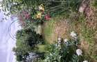 Casa de vanzare, sat Terchesti, com.Popesti, Vrancea - 8