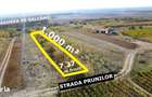 Teren intravilan cu livada 1.000 m2 in Ardud-Vii, view spectaculos!