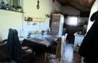 Valea Borcutului, casa 23 ari teren - 11